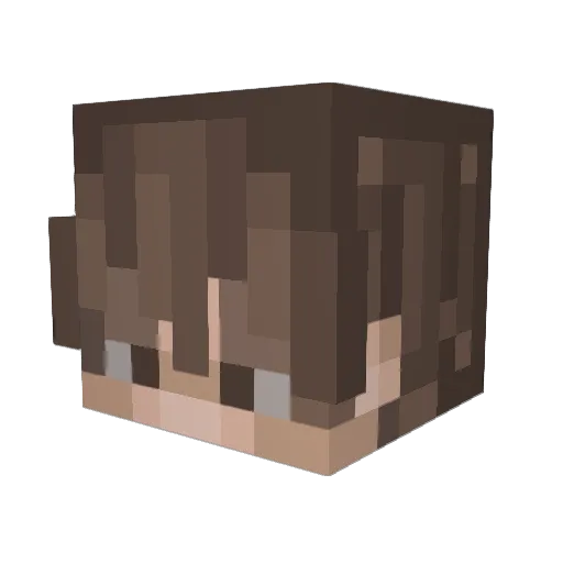 SnekkOfficial Minecraft avatar head, 3D render