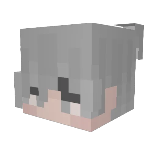 Snekkyboy Minecraft avatar head, 3D render