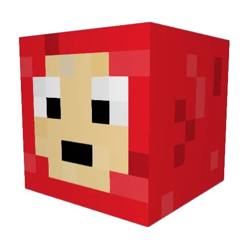 Snelle_Chelle Minecraft avatar head, 3D render