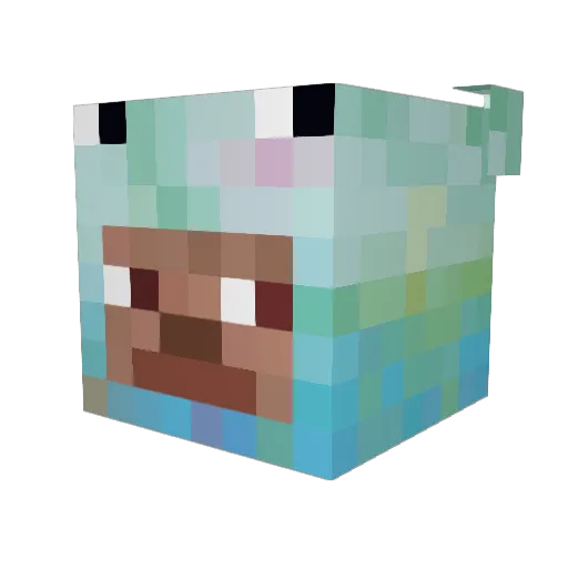 Snelle_Eddyxd Minecraft avatar head, 3D render