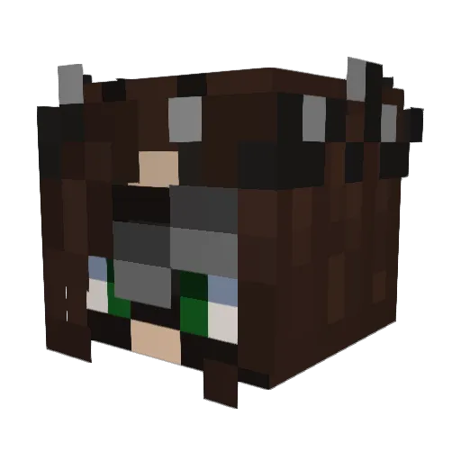 Snenz21 Minecraft avatar head, 3D render