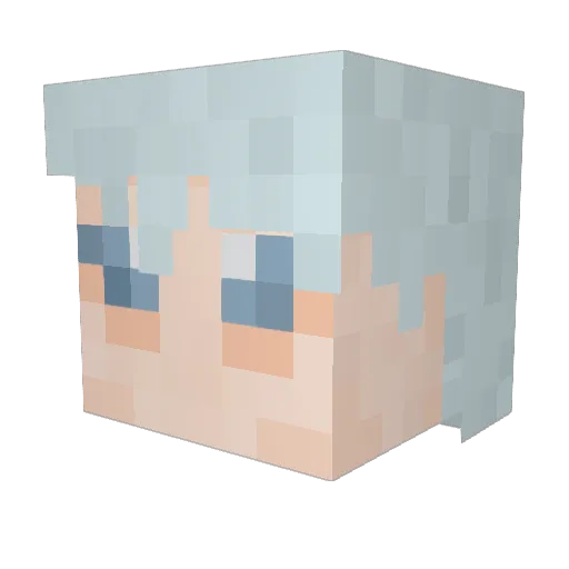 Snerkus Minecraft avatar head, 3D render