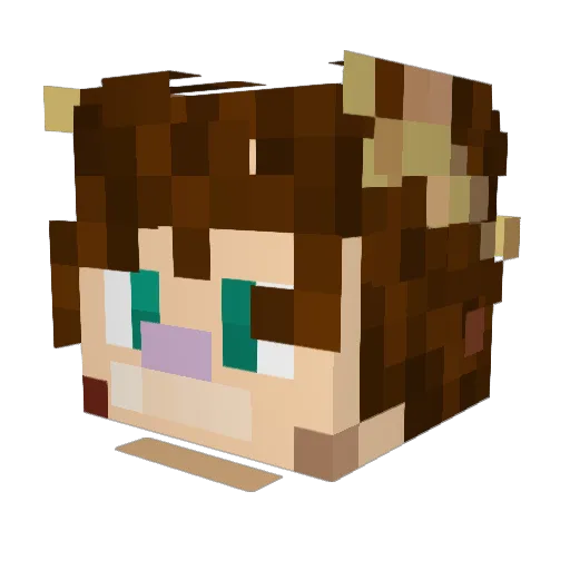 Snezry Minecraft avatar head, 3D render