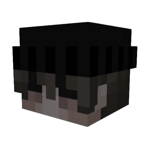 Snezzy__ Minecraft avatar head, 3D render