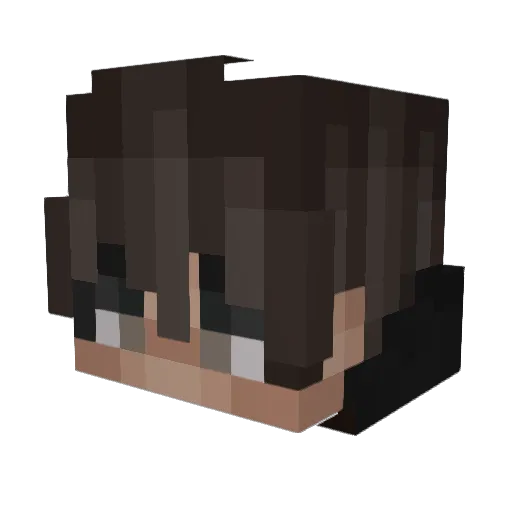 Snfo Minecraft avatar head, 3D render