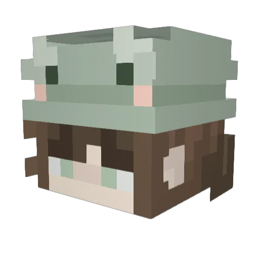 Sng731 Minecraft avatar head, 3D render