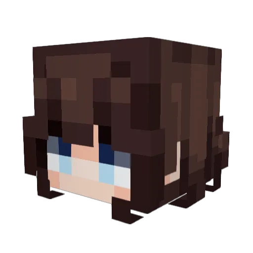 Snickas__ Minecraft avatar head, 3D render