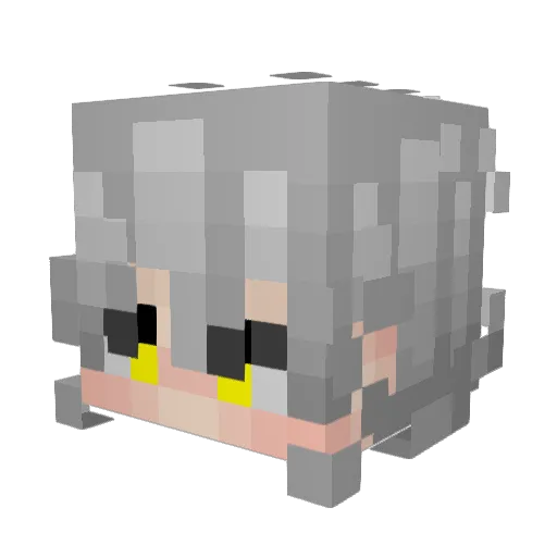 SnickerFox01 Minecraft avatar head, 3D render