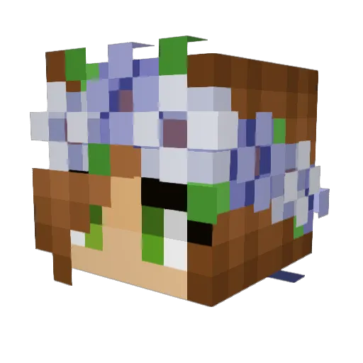 Snicker_Snaxx Minecraft avatar head, 3D render
