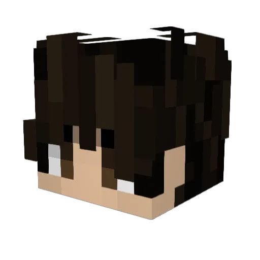 Snieeve Minecraft avatar head, 3D render