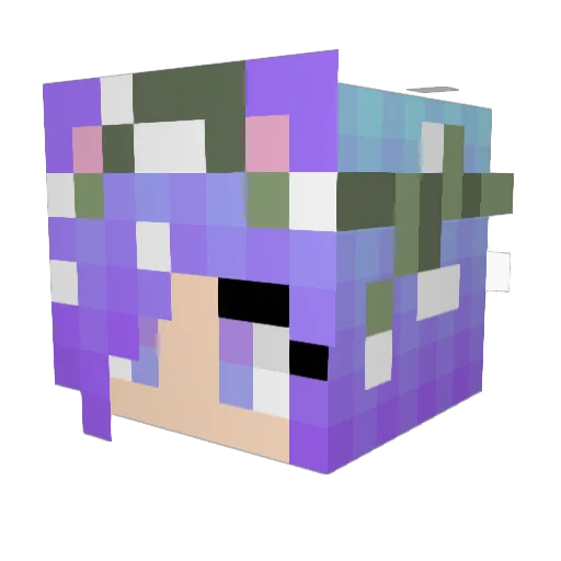 SnifferMyToes Minecraft avatar head, 3D render