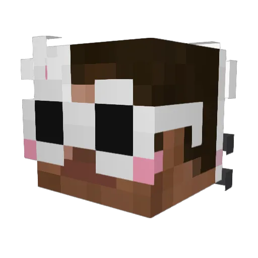 Snifffchan Minecraft avatar head, 3D render
