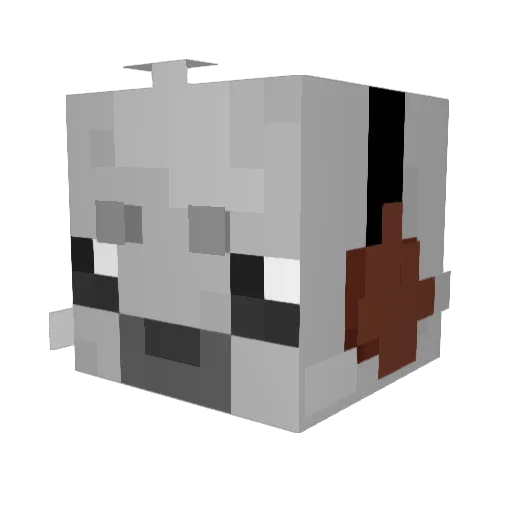 SnifflyRook899 Minecraft avatar head, 3D render