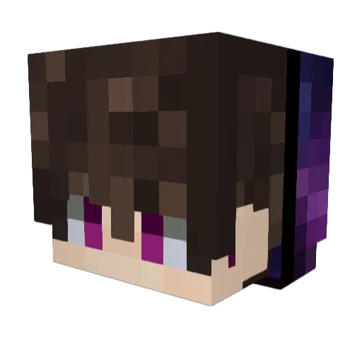 Sniffymirror471 Minecraft avatar head, 3D render