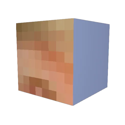 Sniforus Minecraft avatar head, 3D render