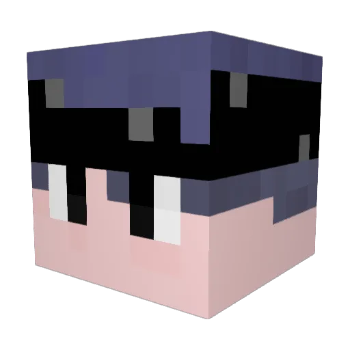 SnikyyBro Minecraft avatar head, 3D render