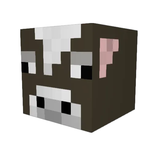 Snipe1304 Minecraft avatar head, 3D render