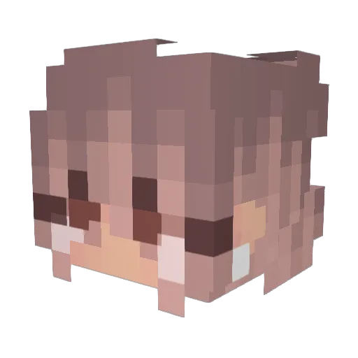 SniperAwsome1 Minecraft avatar head, 3D render