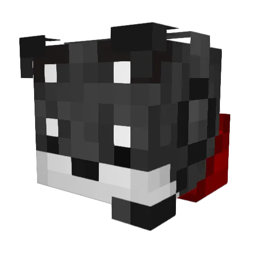 SniperFox197 Minecraft avatar head, 3D render