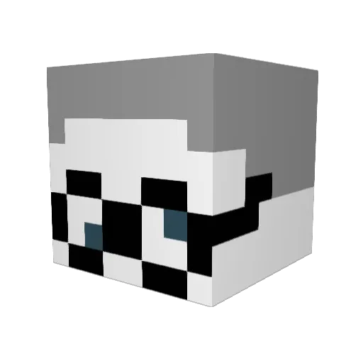 Sniper_Bedwars Minecraft avatar head, 3D render