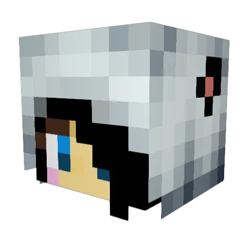 Sniper_Kitty Minecraft avatar head, 3D render