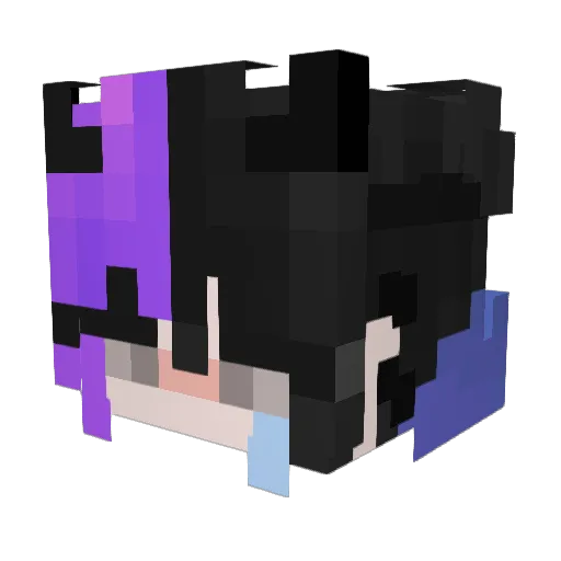 Sniper_Rife Minecraft avatar head, 3D render