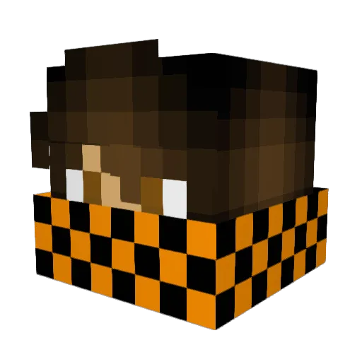 Sniper_ninja Minecraft avatar head, 3D render