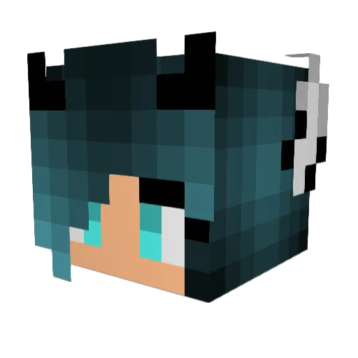 Sniperflake27 Minecraft avatar head, 3D render