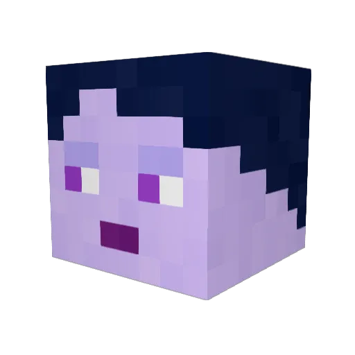 Snippeee1337 Minecraft avatar head, 3D render