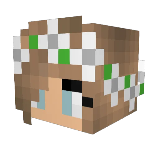 Snippie111 Minecraft avatar head, 3D render