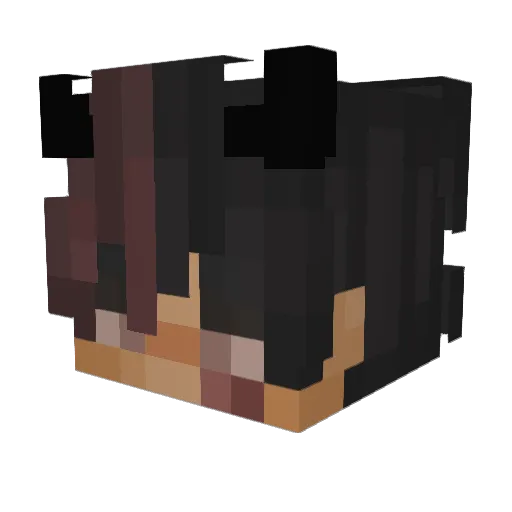 Snipz0 Minecraft avatar head, 3D render