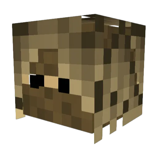 SnipzFTW Minecraft avatar head, 3D render