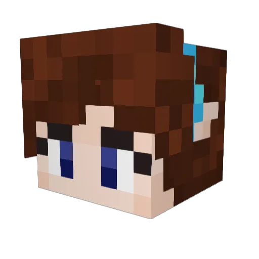 Snitar Minecraft avatar head, 3D render