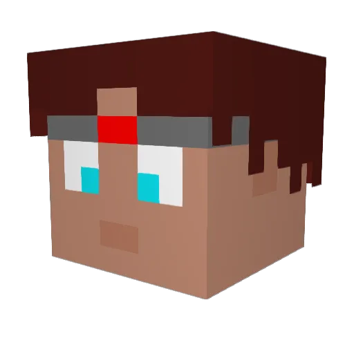 Snivy1245 Minecraft avatar head, 3D render