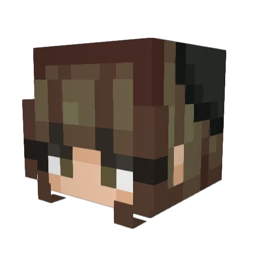 Sniwiee Minecraft avatar head, 3D render