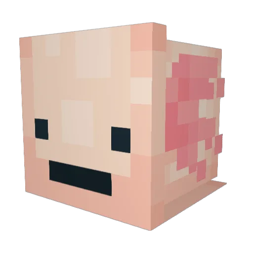 Snixx_Stixx Minecraft avatar head, 3D render
