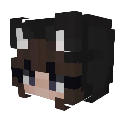 Snizzil Minecraft avatar head, 3D render