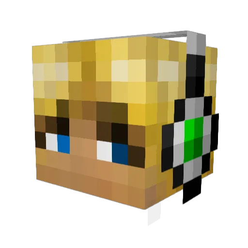 Snj915 Minecraft avatar head, 3D render
