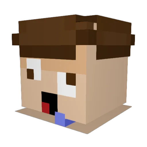 Snkzz__ Minecraft avatar head, 3D render