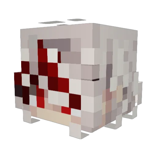 Snnawly Minecraft avatar head, 3D render