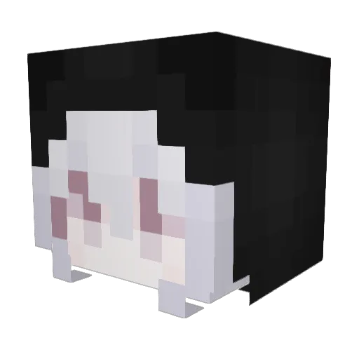 SnoBerrie Minecraft avatar head, 3D render