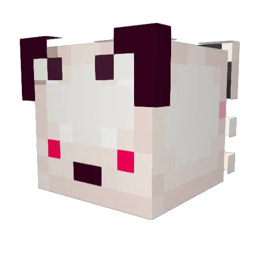 SnoBird_ Minecraft avatar head, 3D render
