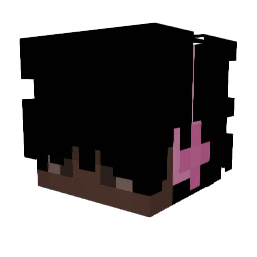 Snobi5 Minecraft avatar head, 3D render