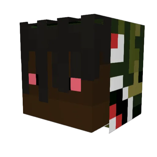 Snock14 Minecraft avatar head, 3D render
