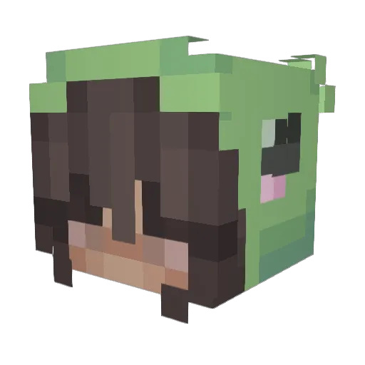 Snoelle Minecraft avatar head, 3D render