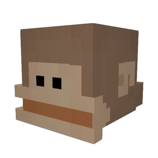 Snofenson Minecraft avatar head, 3D render