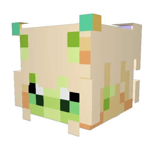 SnoffSama Minecraft avatar head, 3D render
