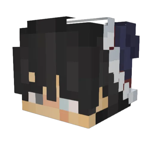 Snois8 Minecraft avatar head, 3D render