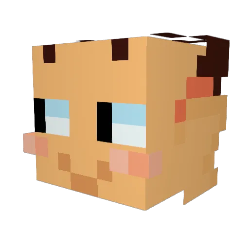 Snolepop Minecraft avatar head, 3D render