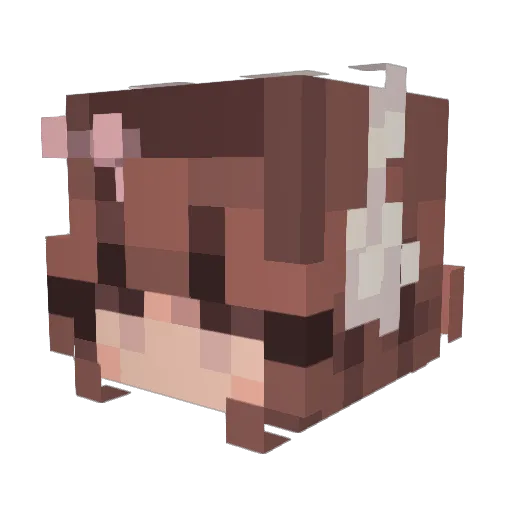 SnomCone Minecraft avatar head, 3D render